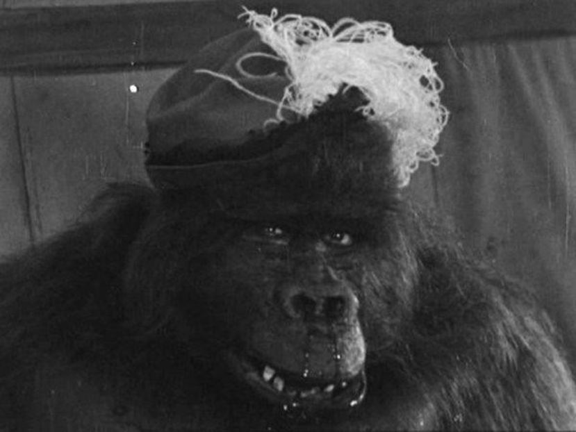 The Chimp - 1932 - The Chimp