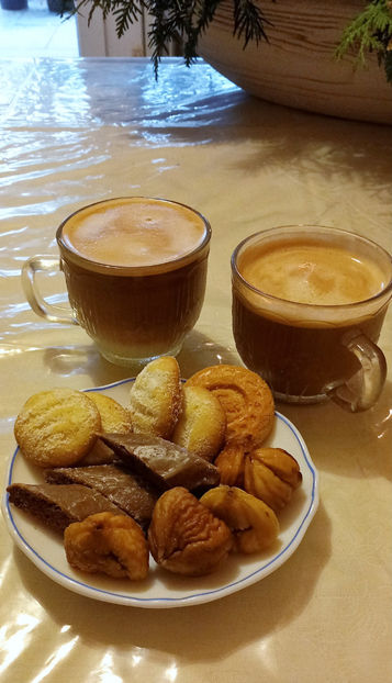  - 2024 - 04 - 2025 - 00 - Iarna