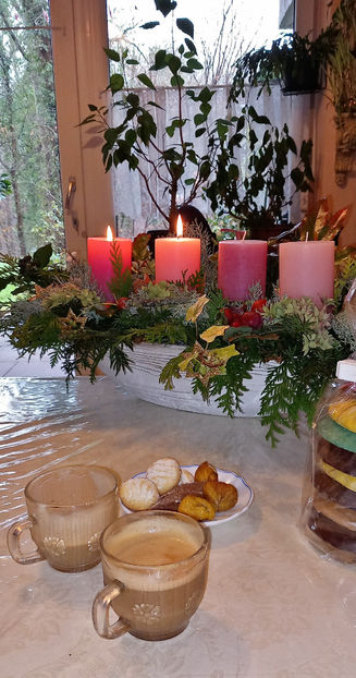  - 2024 - 04 - 2025 - 00 - Iarna