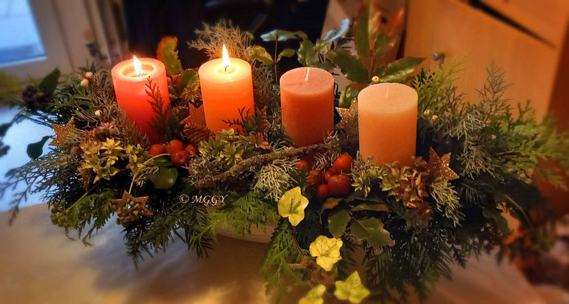 © - 2024 - 04 - 2025 - 00 - Iarna