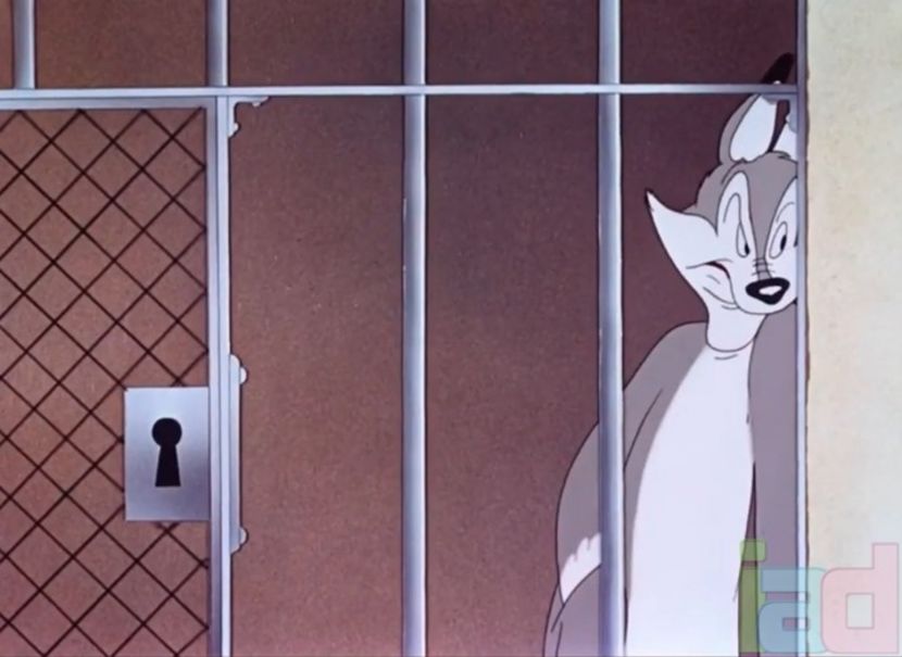 Fox Pop - 1942 - Fox Pop