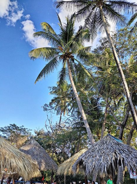 TAMARINDO, COSTA RICA - --- COSTA RICA