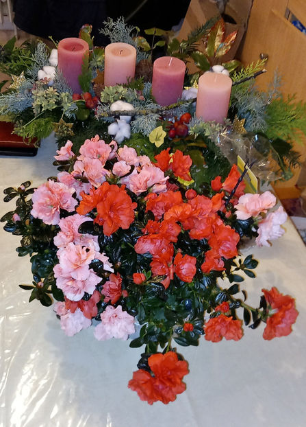  - 2024 - 04 - 2025 - 00 - Iarna