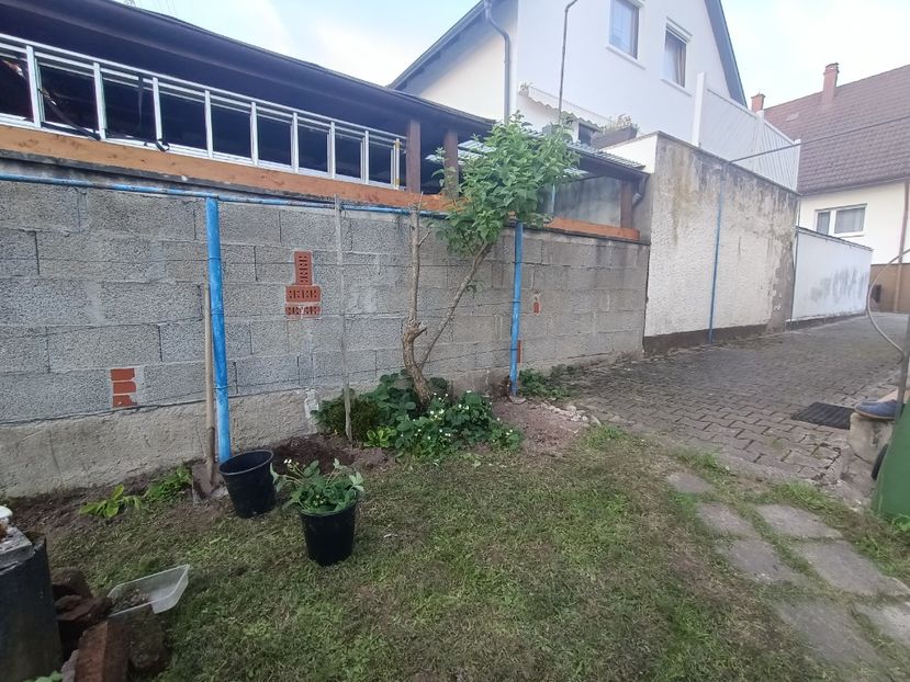 Img.2024.05.11 - A doua grădină 2