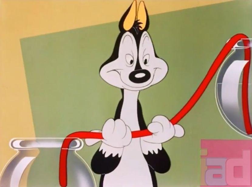 Fin N Catty - 1943 - Fin N Catty