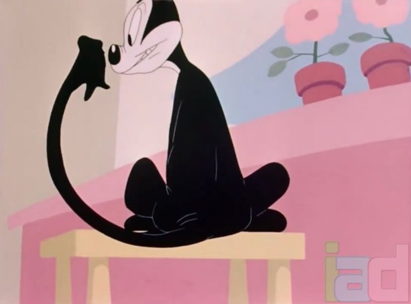 Fin N Catty - 1943 - Fin N Catty