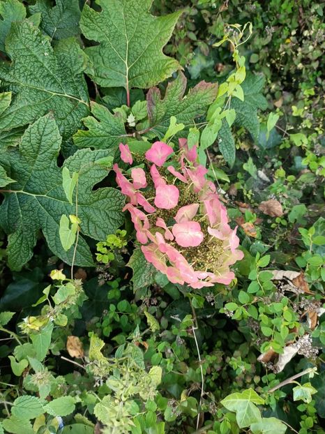 IMG20240718164010 - Magazinul 4