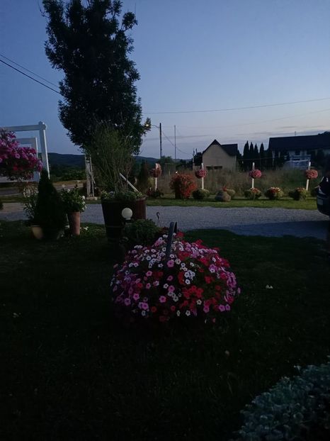 IMG20240821204913 - Magazinul 4