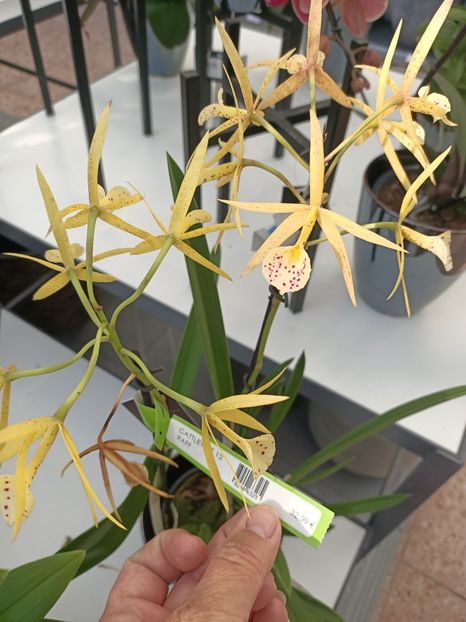 IMG20240905091759 - Magazinul 4