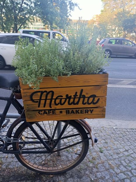 IMG20240905172920 - Magazinul 4