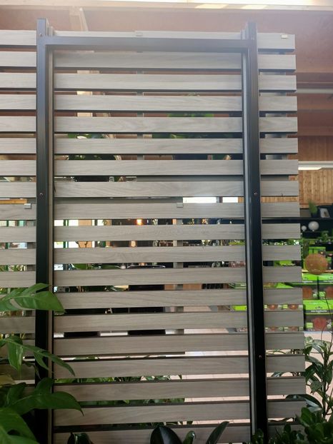 IMG20240906103255 - Magazinul 4