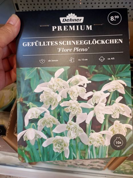 IMG20240906103636 - Magazinul 4