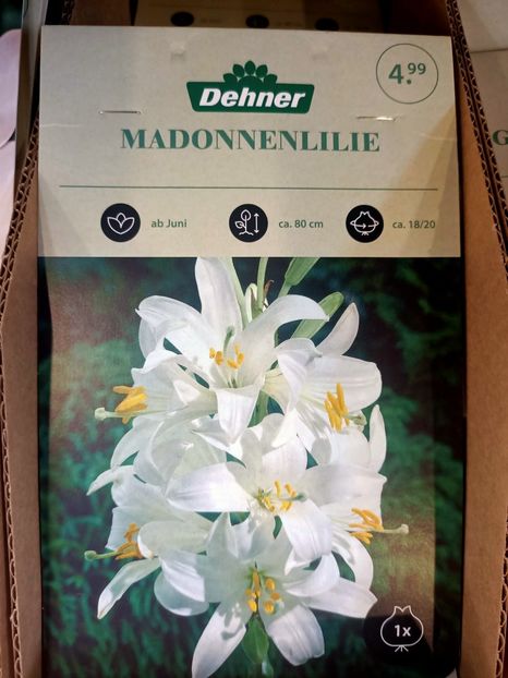 IMG20240906103719 - Magazinul 4