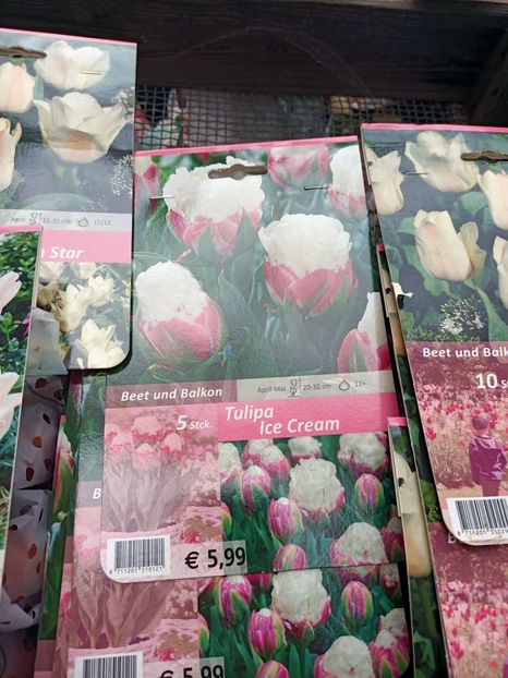 IMG20240909110617 - Magazinul 4