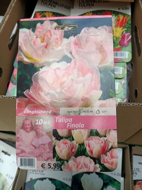 IMG20240909111551 - Magazinul 4