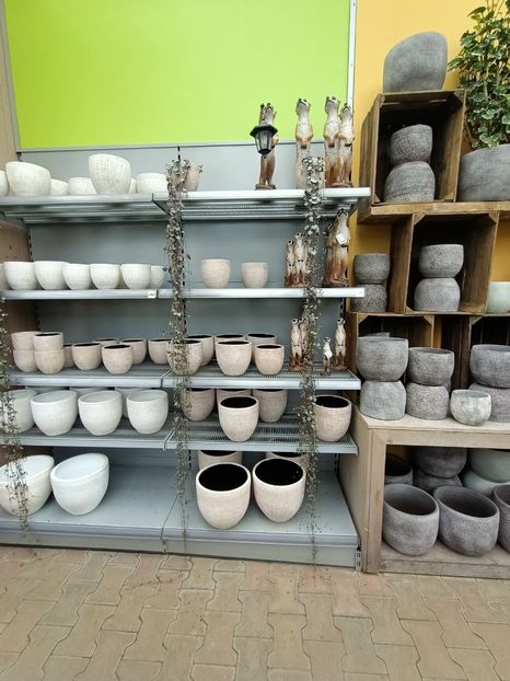 IMG20240909111828 - Magazinul 4