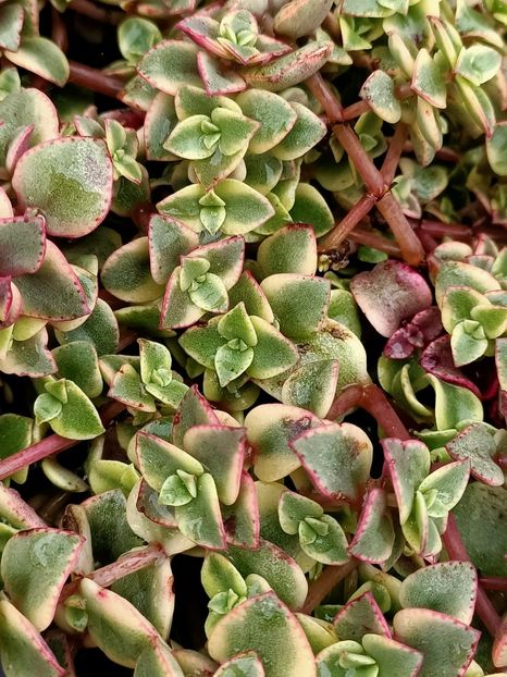 IMG20240923113516 - Magazinul 4