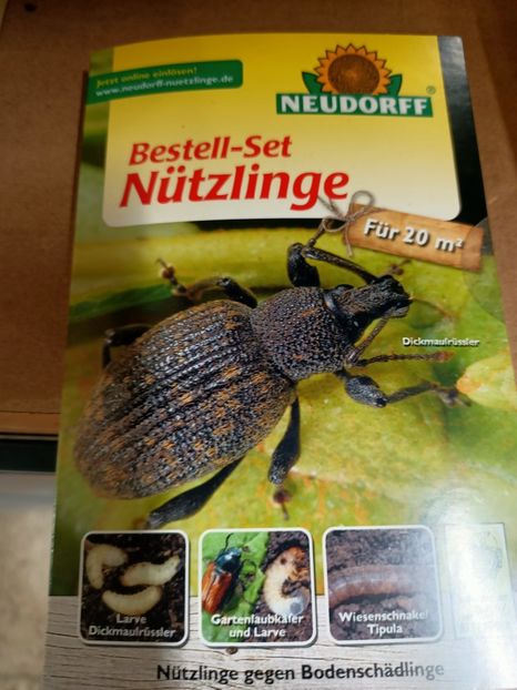 IMG20241021101121 - Magazinul 4