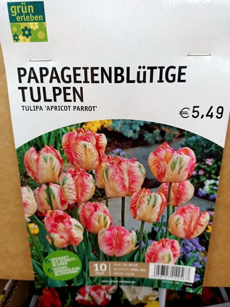IMG20241021103824 - Magazinul 4