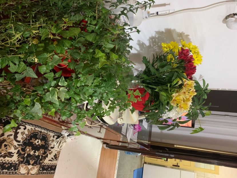  - A A A A florile toamna 2024