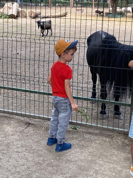 7f234a93-3984-4373-b2aa-5fb4ca231d30 - M A T E U T U 2024