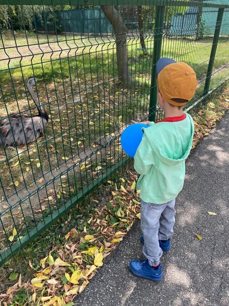 25ac9fb5-4726-4d37-913c-ad606d092690 - M A T E U T U 2024