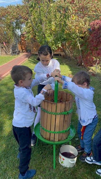 49ad6b3d-55d5-4458-aa3f-174126433538 - M A T E U T U 2024