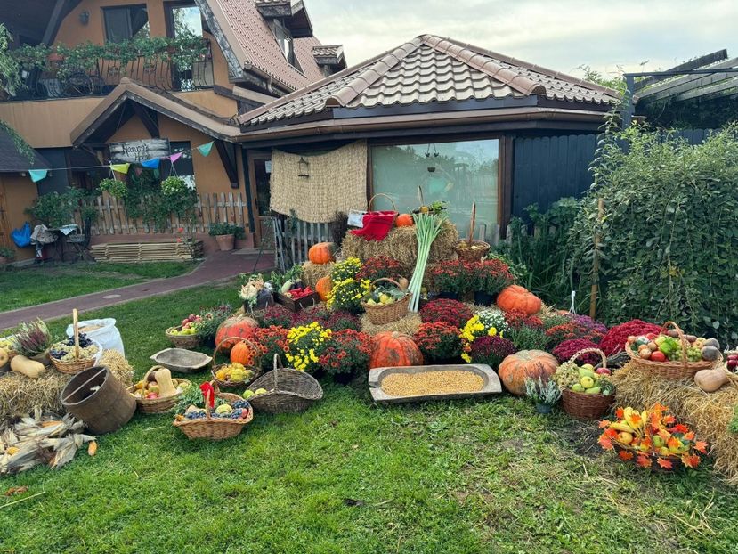 aa958533-069e-4473-ba36-3ca3fc763ae7 - M A T E U T U 2024