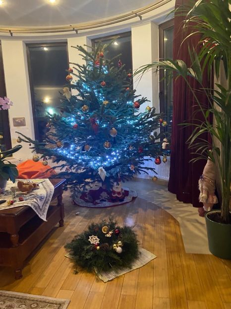 49e87763-878f-4494-b370-0c9c31514965 - M A T E U T U 2024