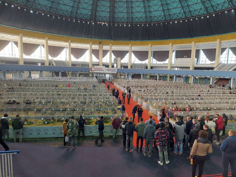 2024 - EXPOZITII AGH