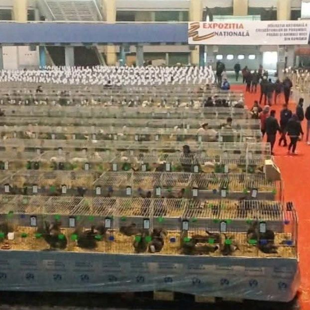 2024 - EXPOZITII AGH