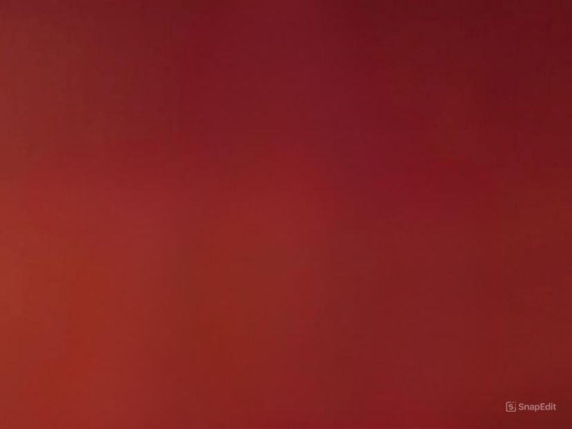 snapedit_1734696539997 - 00 background