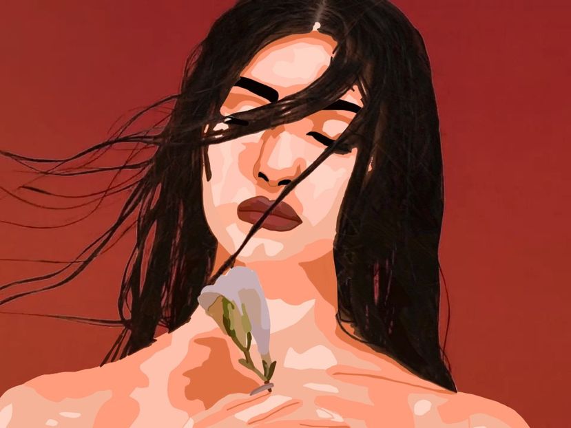  - 00 A vector art - sai-2 - ibis