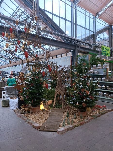Img.2024.1202085929 - Magazinul 4