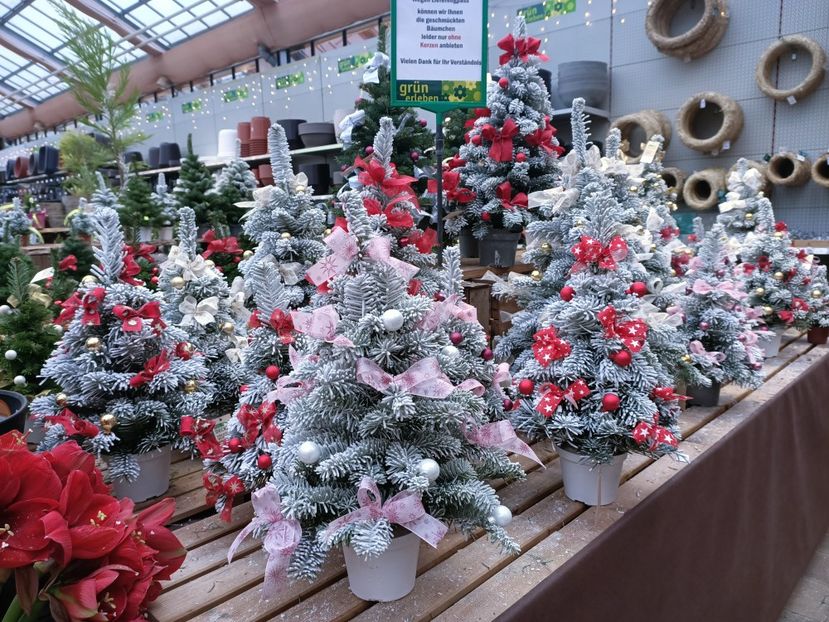 IMG.2024.12.02 - Magazinul 4