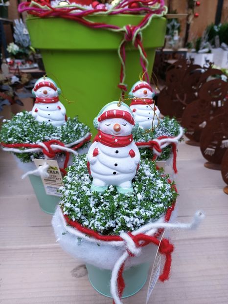 Img.2024.12.19 - Magazinul 4