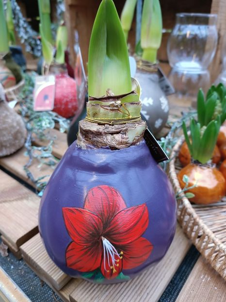 Img.2024.12.19 - Magazinul 4