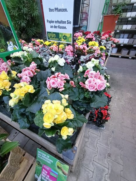 Img.2024.12.19 - Magazinul 4