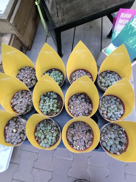 Img.2024.12.19 - Magazinul 4