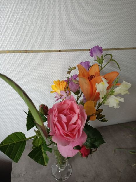 Img.2024.06.22 - A doua grădină 2