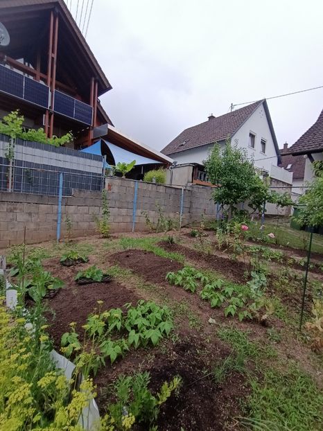 Img.2024.06.29 - A doua grădină 2