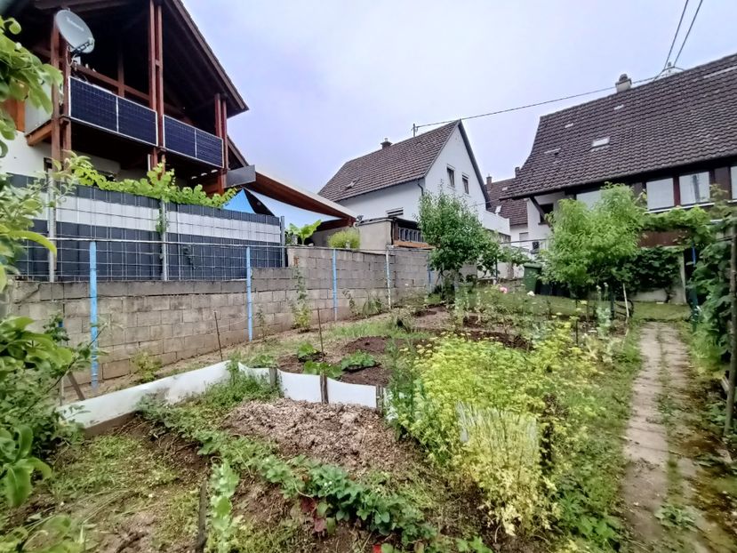 Img.2024.06.29 - A doua grădină 2
