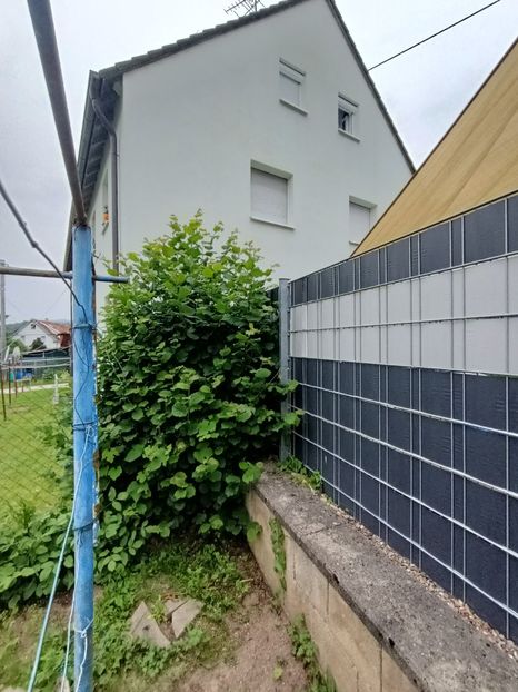 Img.2024.06.29 - A doua grădină 2