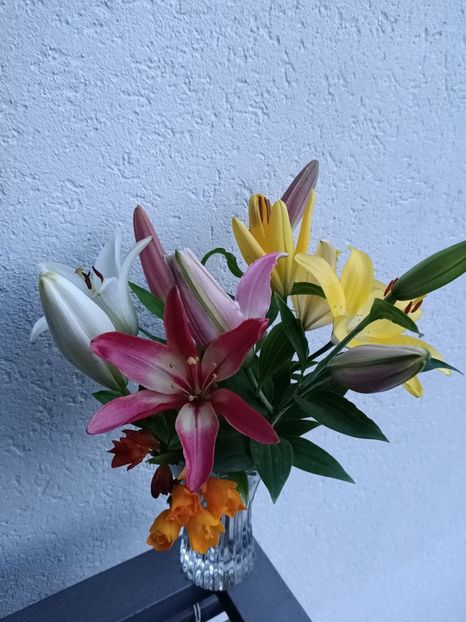 Img.2024.06.30 - A doua grădină 2