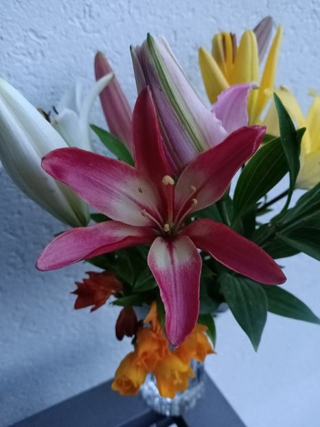 Img.2024.06.30 - A doua grădină 2