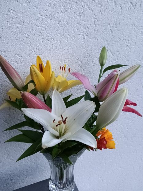 Img.2024.06.30 - A doua grădină 2