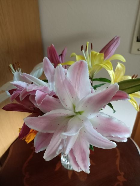 Img.2024.07.04 - A doua grădină 2