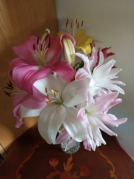 Img.2024.07.07 - A doua grădină 2