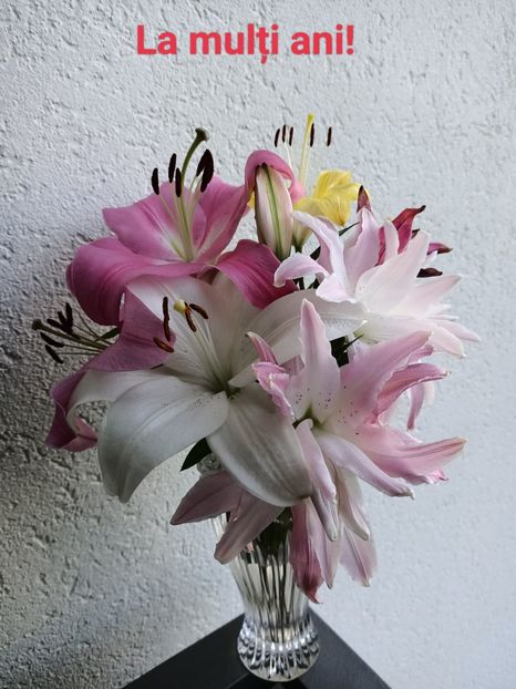  - A doua grădină 2