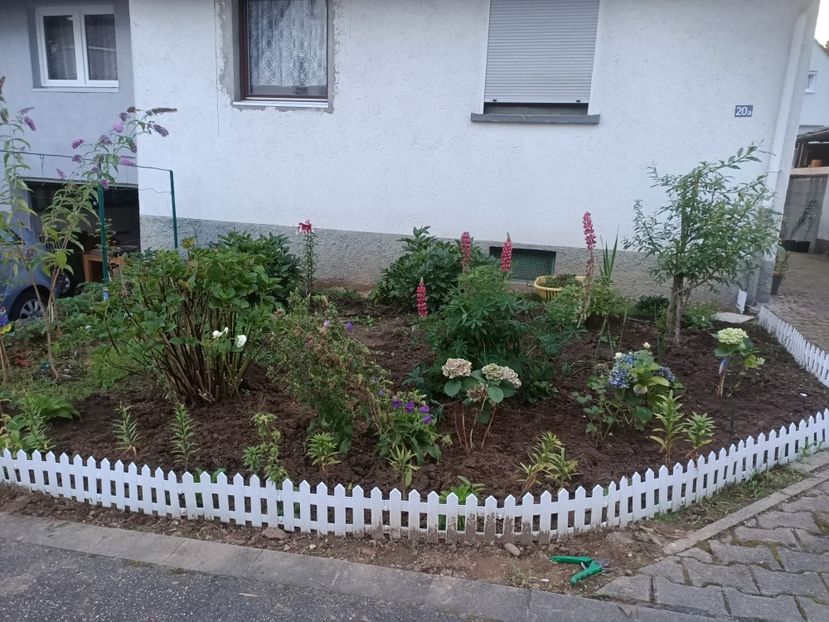 Img.2024.07.13 - A doua grădină 2